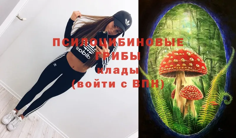 мега маркетплейс  цены   Петровск  Галлюциногенные грибы MAGIC MUSHROOMS 